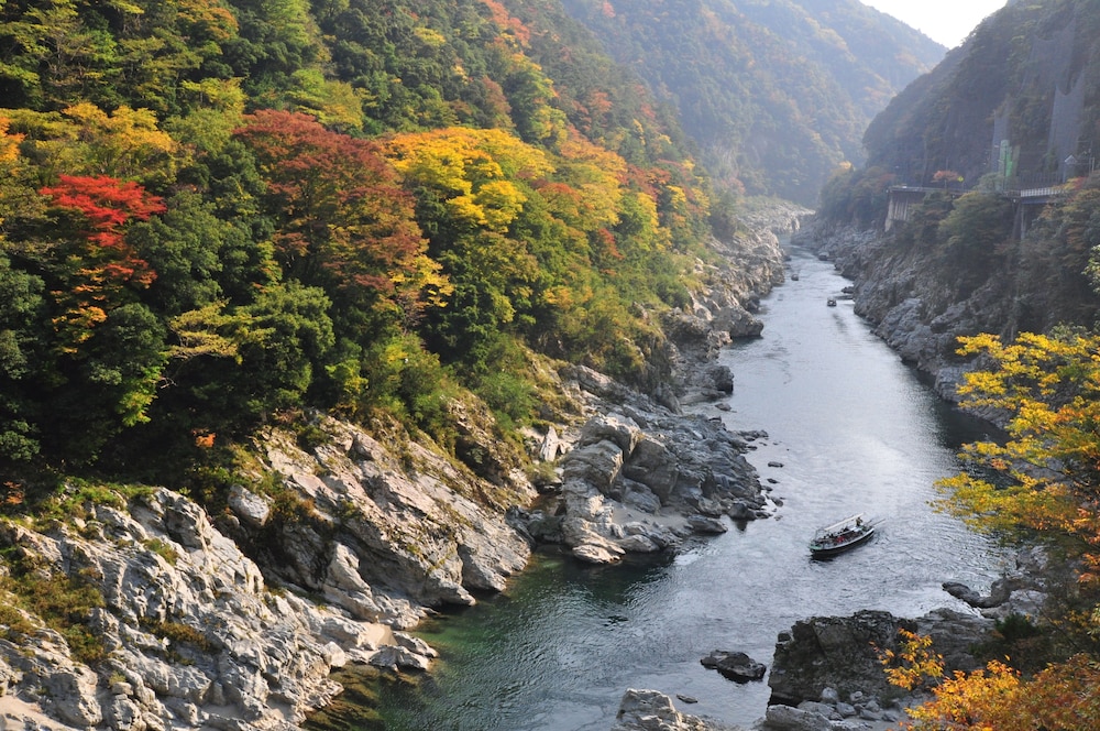 峡谷の湯宿 大歩危峡まんなか 徳島