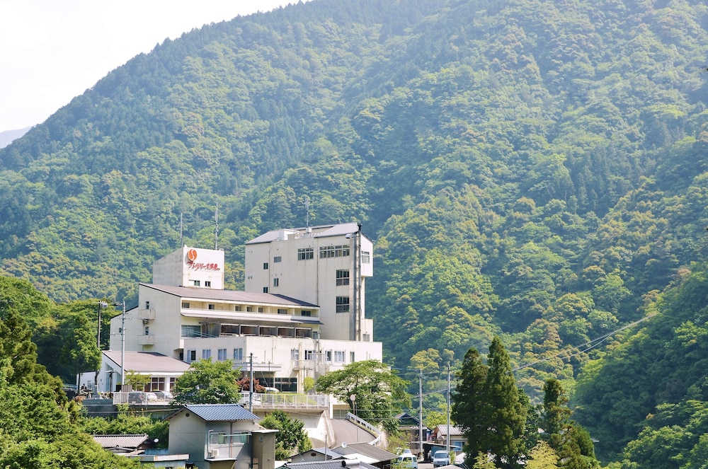 サンリバー大歩危 徳島