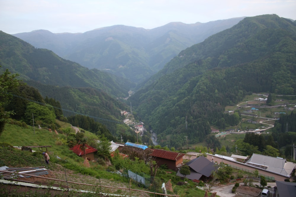 桃源郷祖谷の山里 徳島