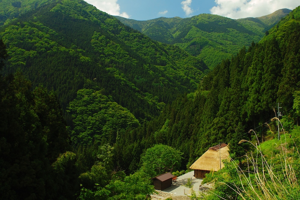 桃源郷祖谷の山里 徳島