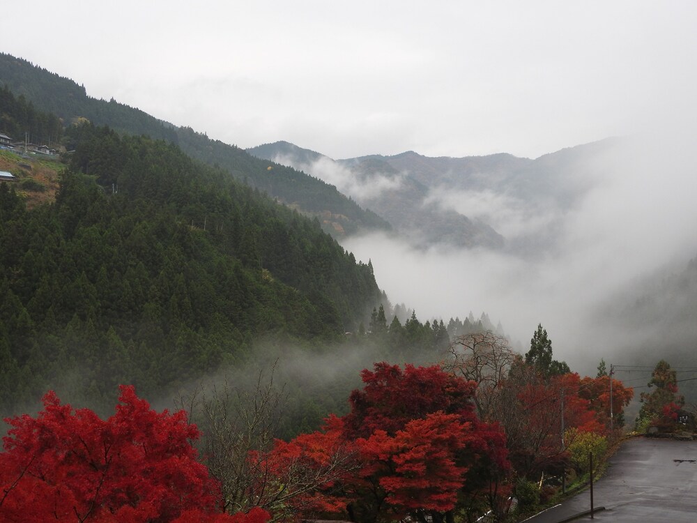祖谷の宿 かずらや 徳島