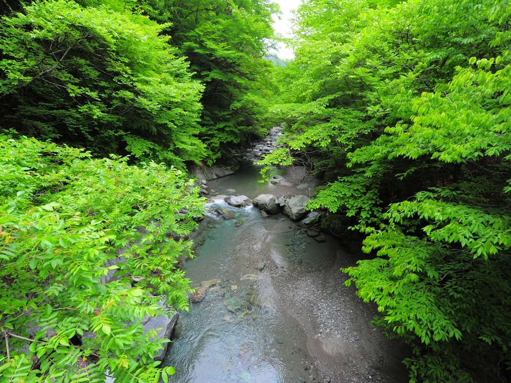 祖谷の宿 かずらや 徳島