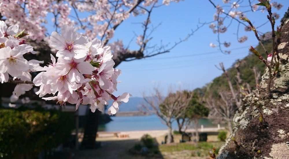 ペンションししくい 徳島