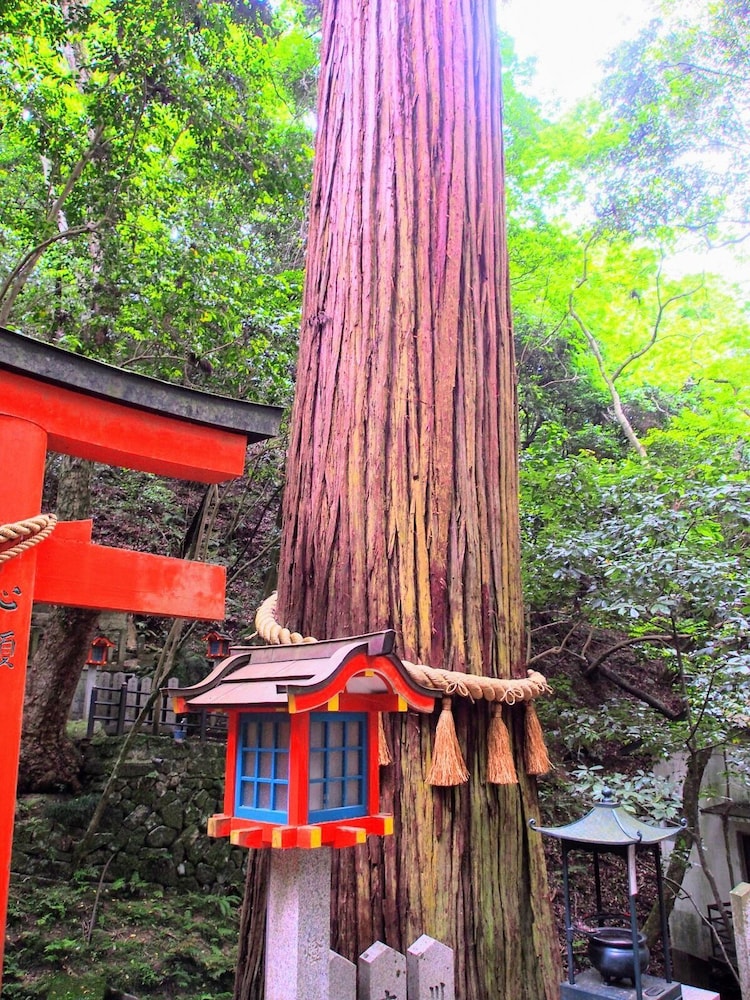 ホテル TIKI 徳島