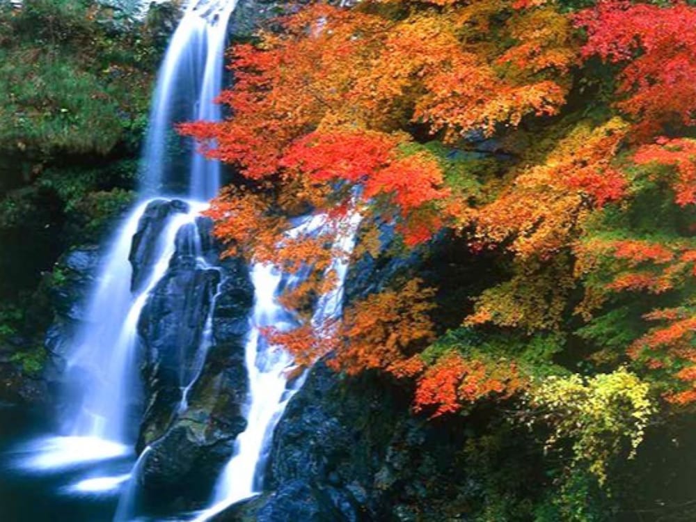 ホテル TIKI 徳島