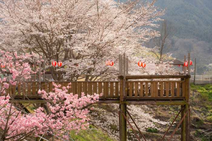 ホテル セカンドステージ 高松