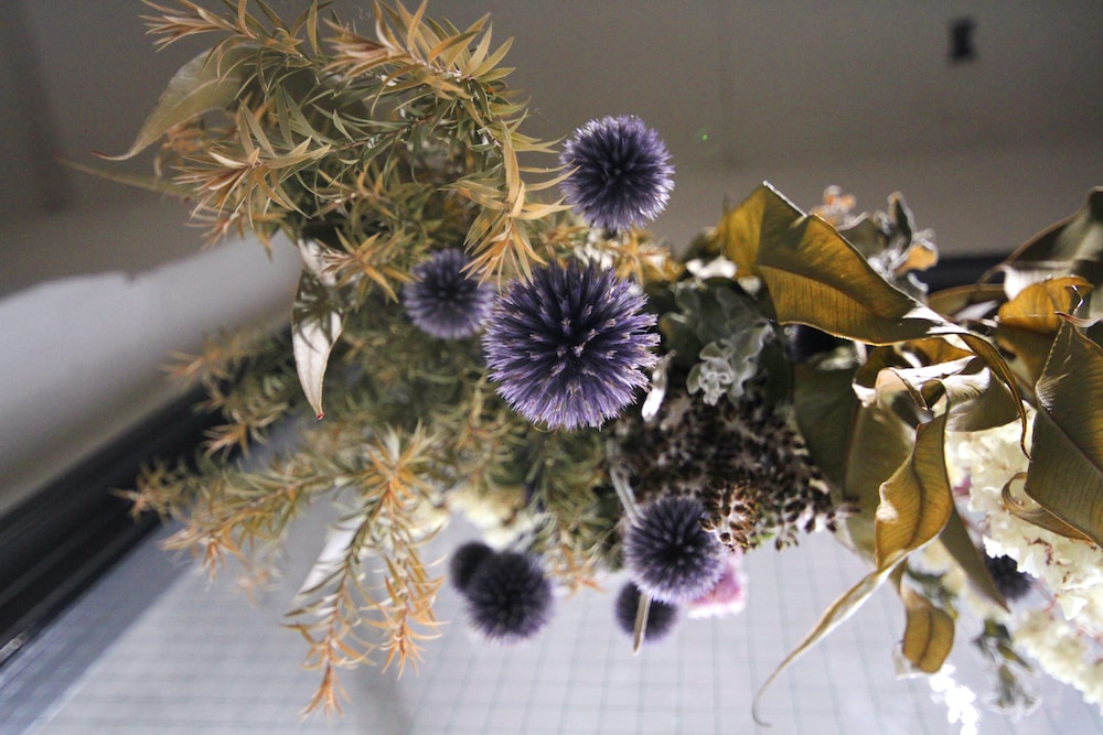 SUNNY DAY HOSTEL 高松