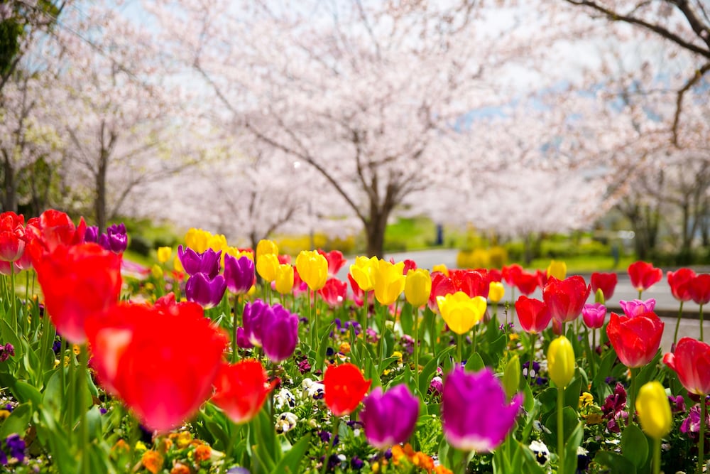 トレスタ白山 高松