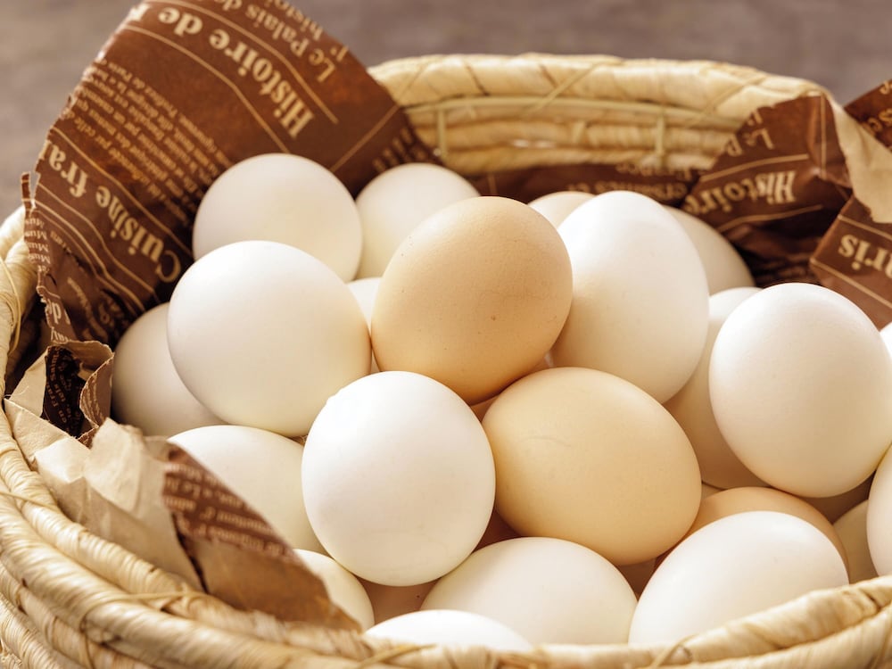 西鉄イン高知 はりまや橋 高知