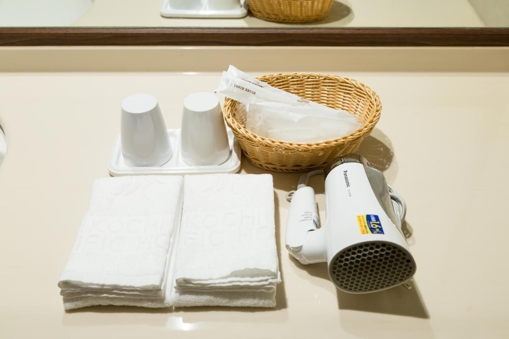 高知プリンスホテル 高知