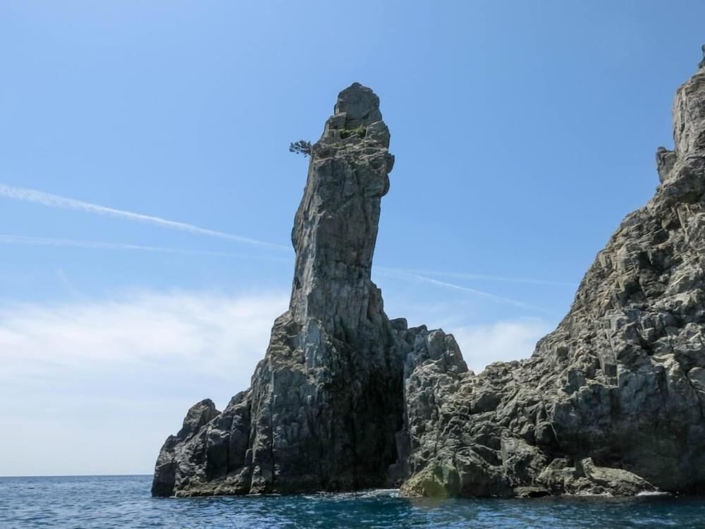 ホテル ベルリーフ 大月 高知