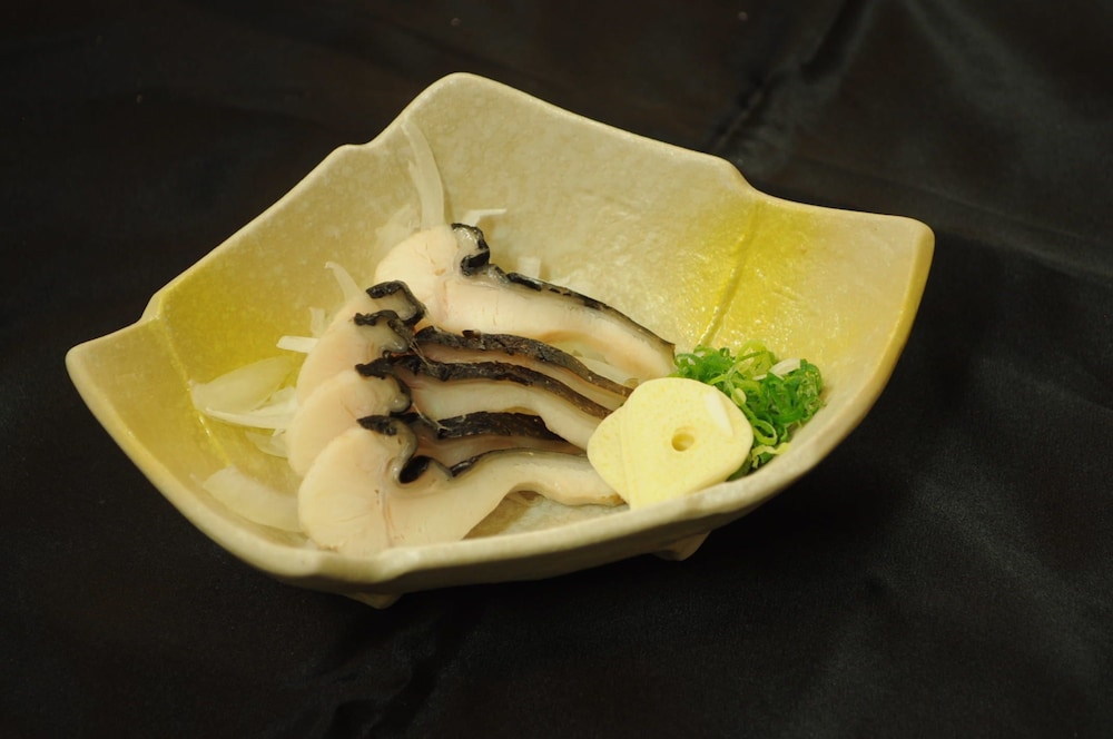 ホテル あけのほし 高知