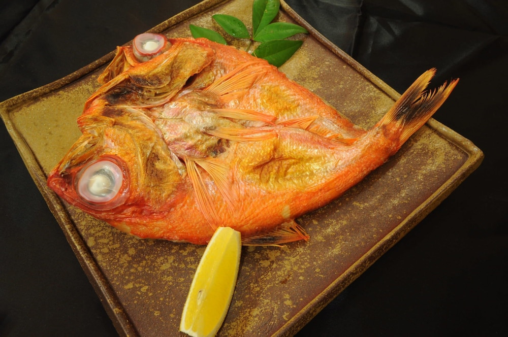 ホテル あけのほし 高知