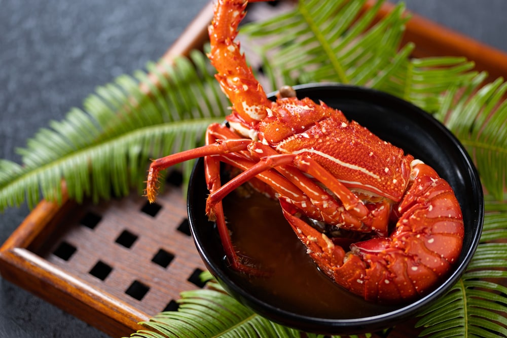 THEMANA VILLAGE 高知