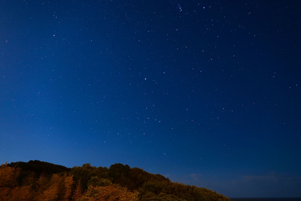 THEMANA VILLAGE 高知