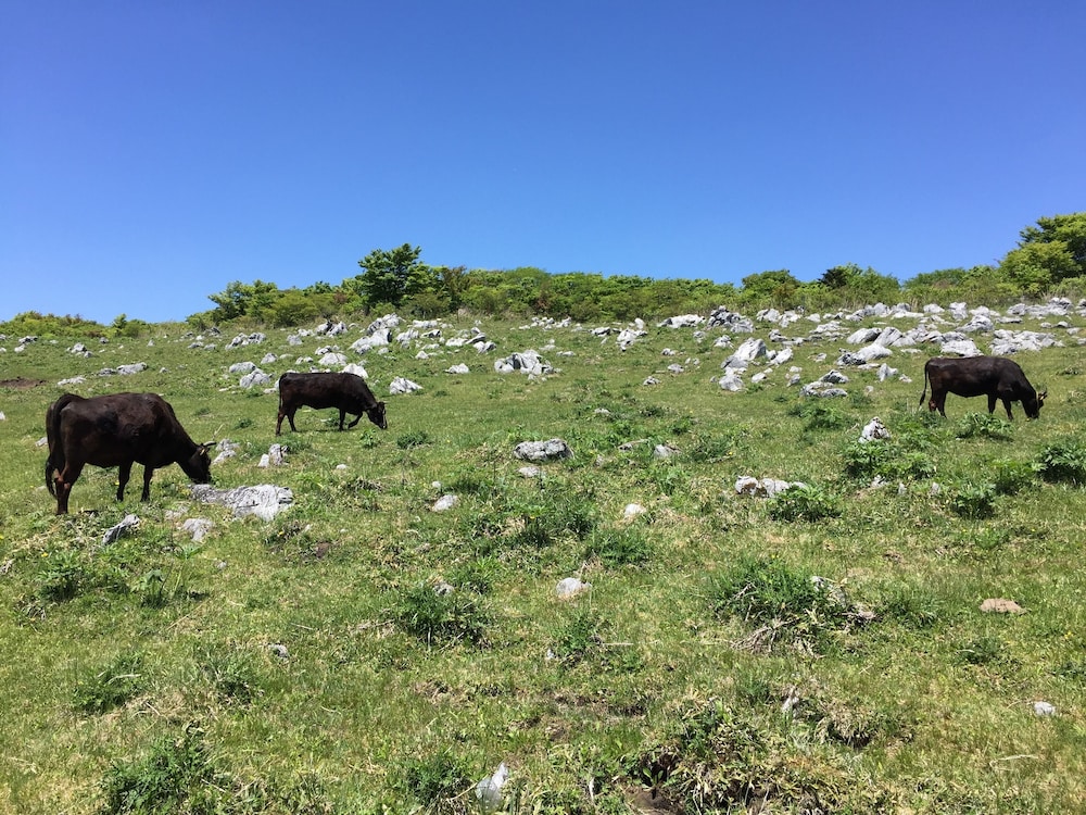 四万十源流の里 高知