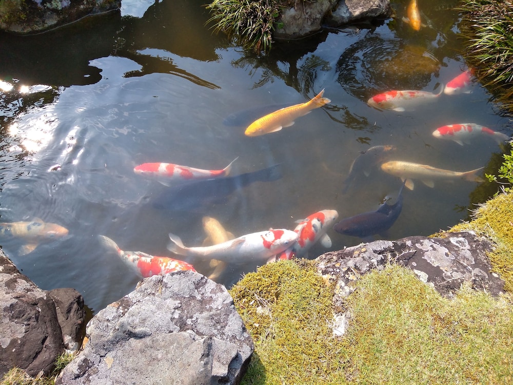 農家民宿かじか 高知