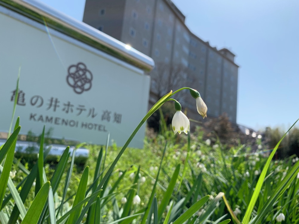 亀の井ホテル 高知 高知