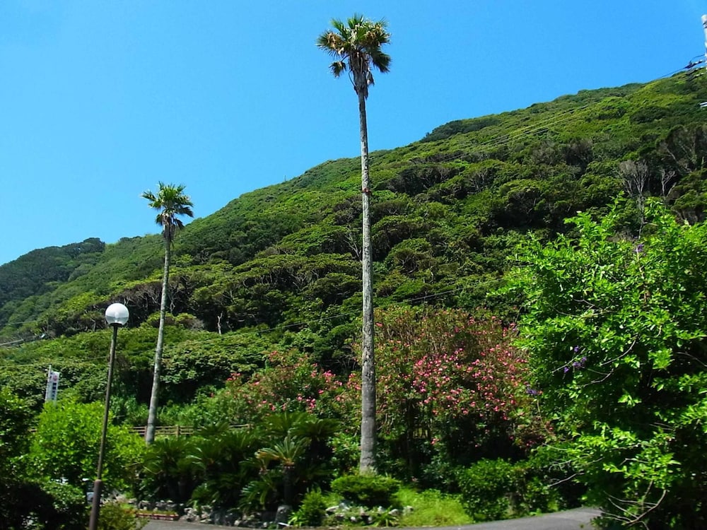 岬観光ホテル 高知