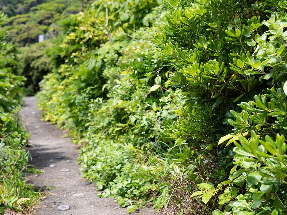 岬観光ホテル 高知