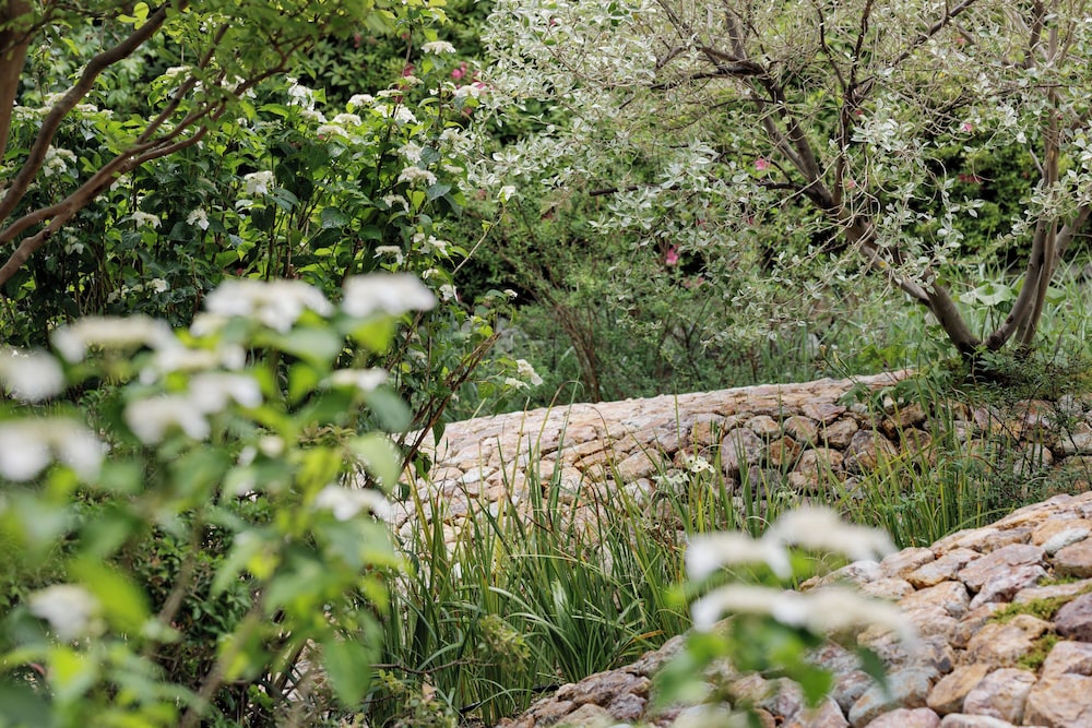 OMO7 高知 BY 星野リゾート 高知