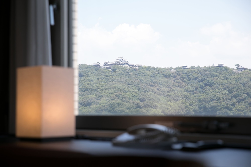 ホテルマイステイズ松山 松山