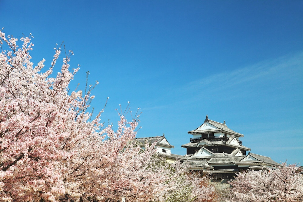 ホテルマイステイズ松山 松山