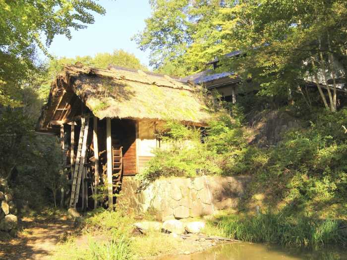 久万高原ふるさと旅行村 松山