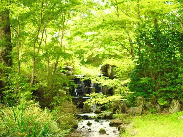 久万高原ふるさと旅行村 松山