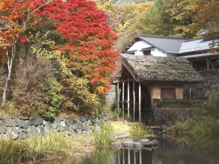 久万高原ふるさと旅行村 松山
