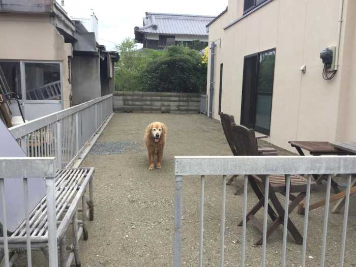 北条水軍ユースホステル 松山