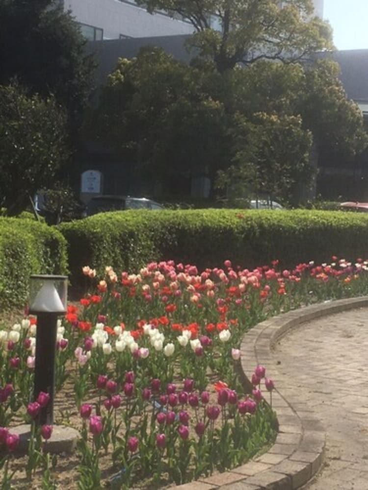 リーガロイヤルホテル新居浜 松山