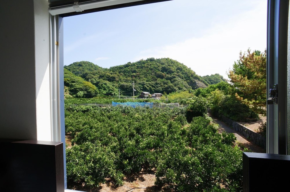 ザ・ボンズ 松山