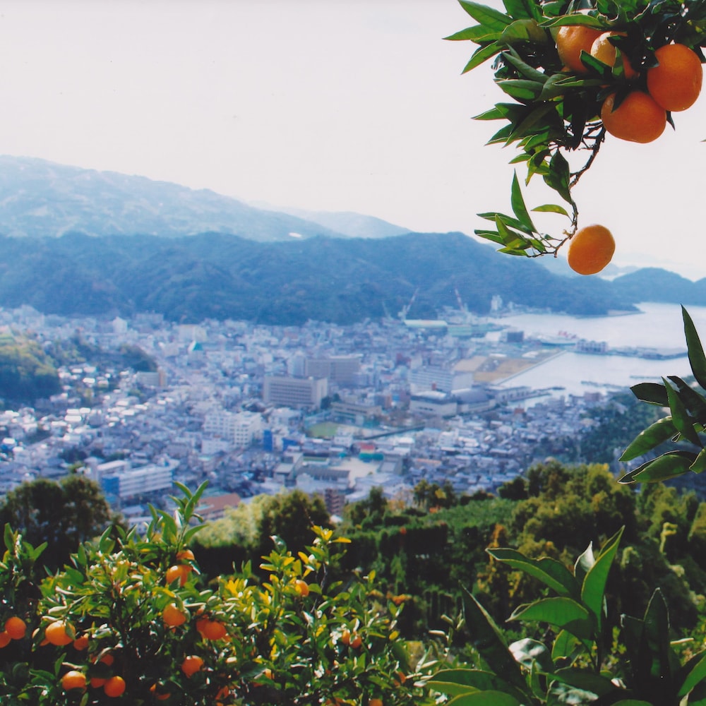 ハーバープラザホテル 松山