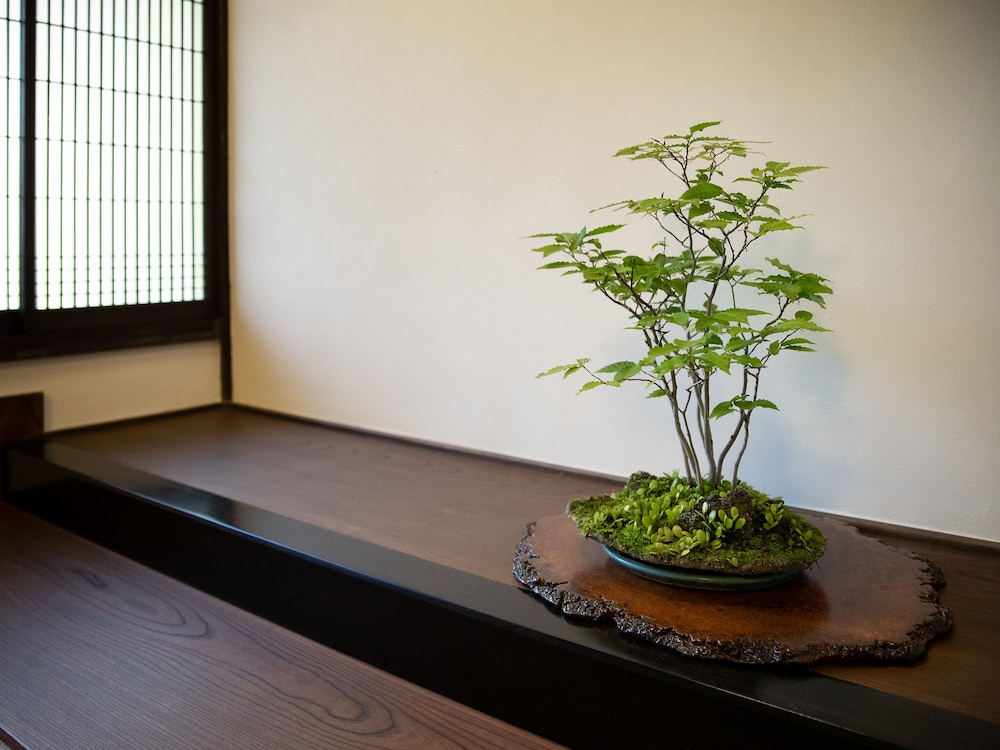 内子の宿 織 松山