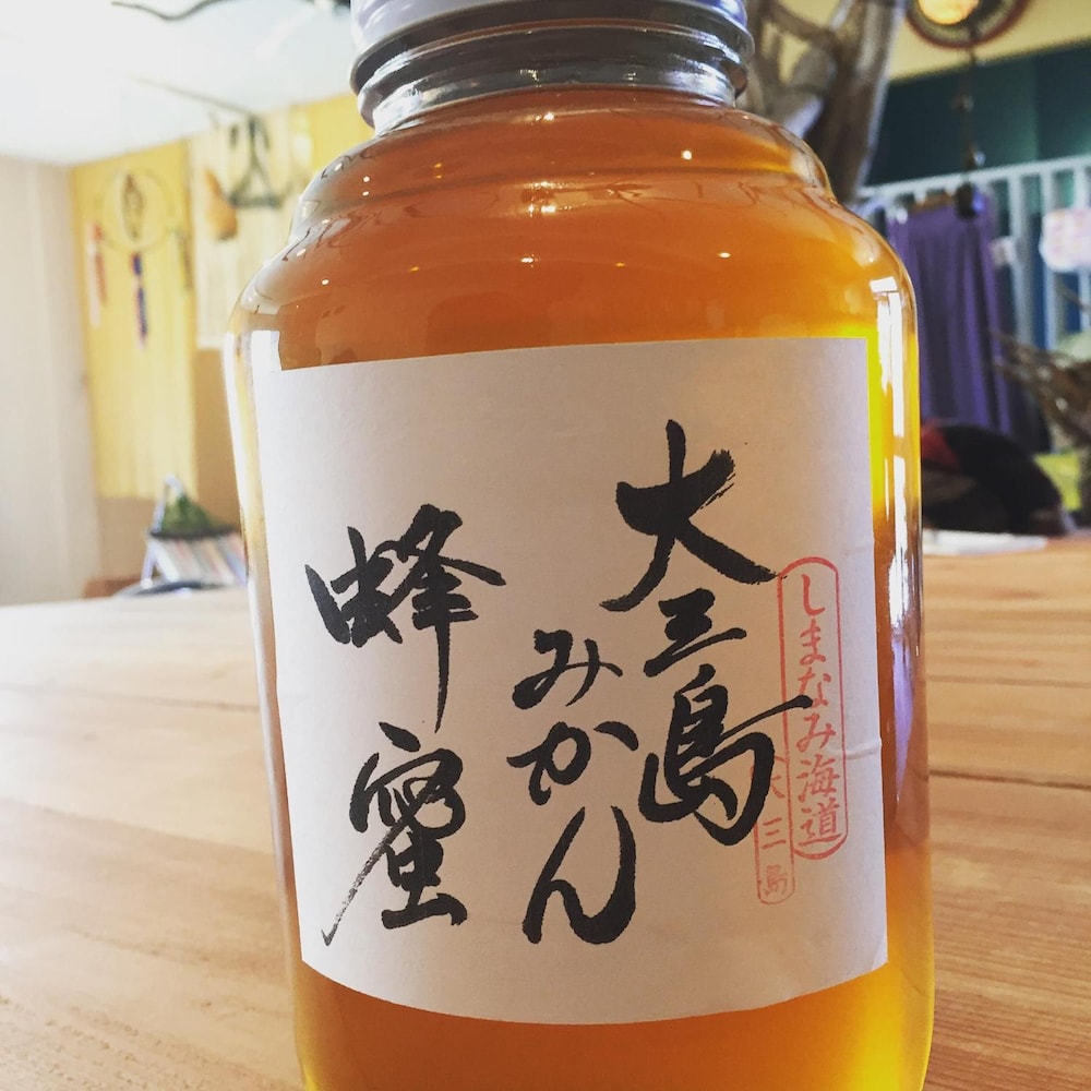 オーガニックゲストハウス & カフェ OHANA IN 御島 松山