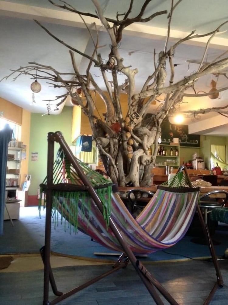 オーガニックゲストハウス & カフェ OHANA IN 御島 松山