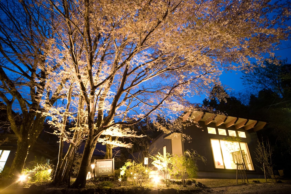 FOREST INN BORN 大分