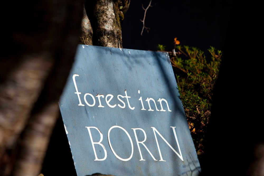 FOREST INN BORN 大分