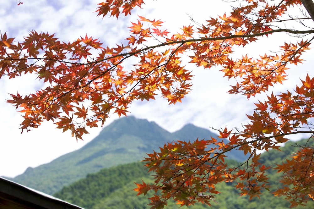 湯布院 山灯館 大分