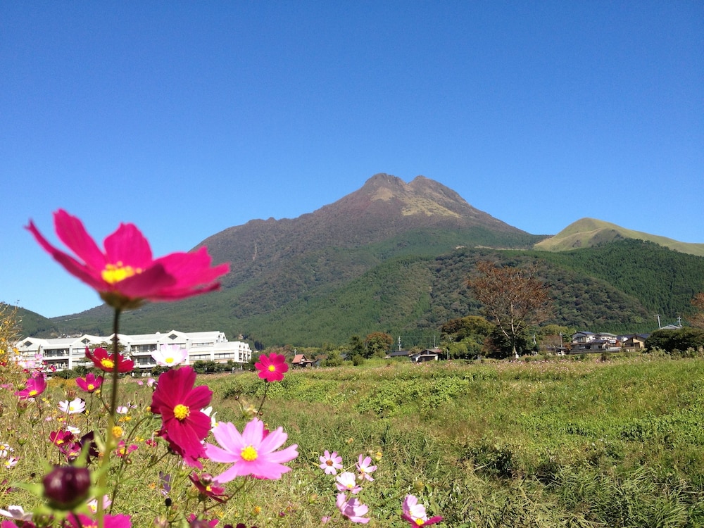 湯布院カントリーロードユースホステル 大分