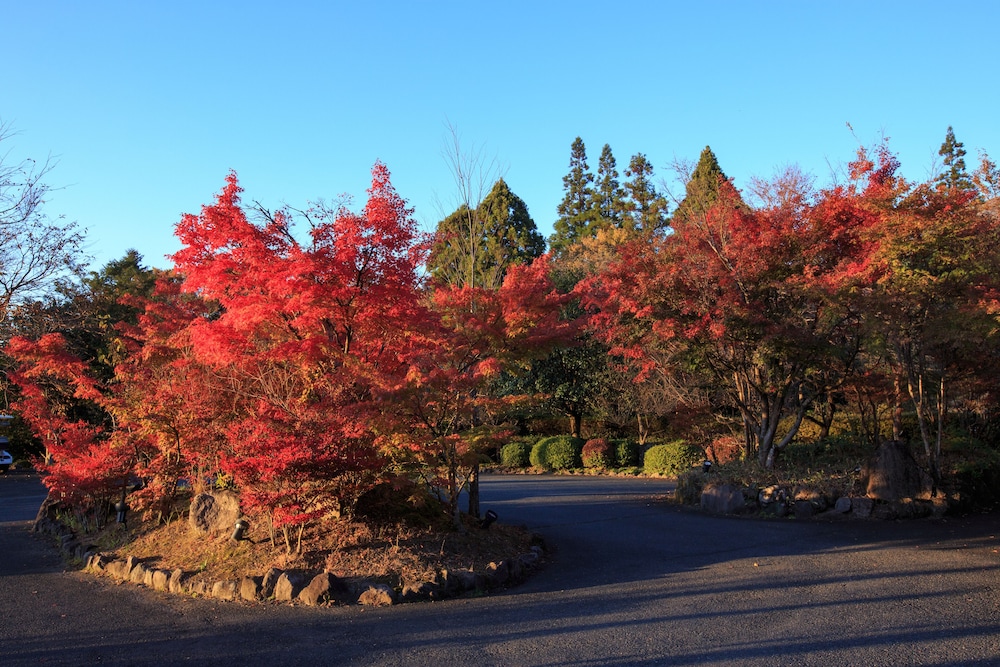 由布院 梅園 GARDEN RESORT 大分