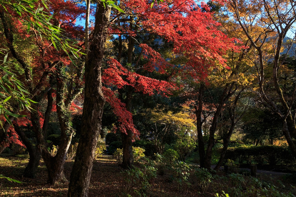 由布院 梅園 GARDEN RESORT 大分