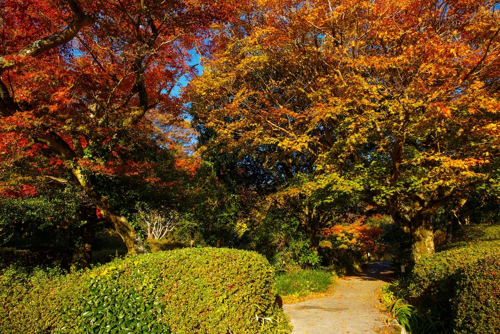 由布院 梅園 GARDEN RESORT 大分