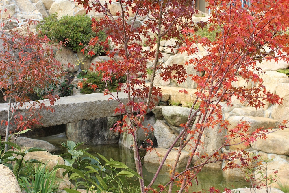 旅籠桜 大分