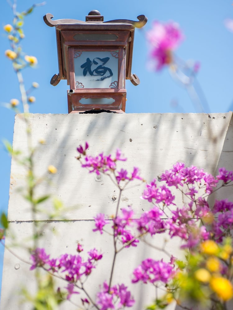 旅籠桜 大分