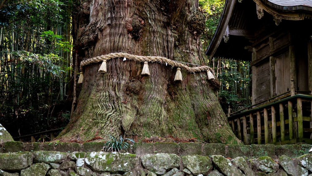 湯布院 旅の蔵 大分