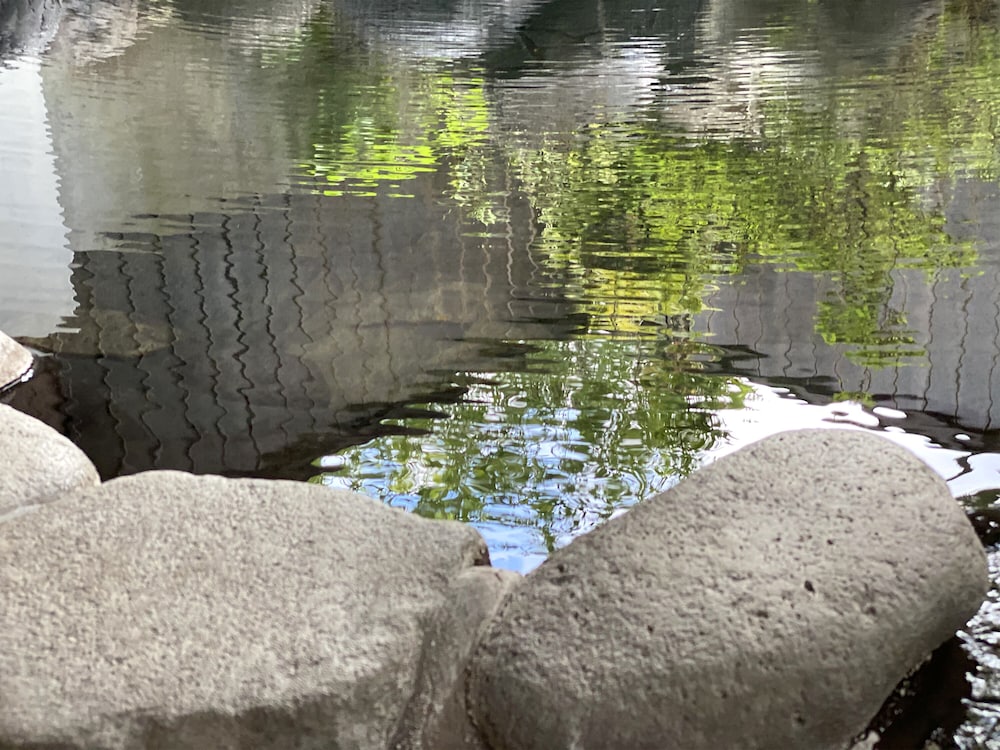 蓮輪イン 大分