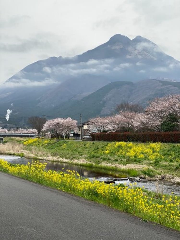 ゆふいん旅庵 和山豊 大分