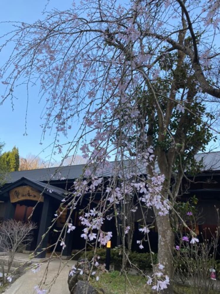 ゆふいん旅庵 和山豊 大分